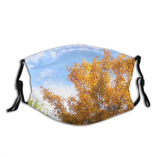 yanfind Temperate Sky Bushes Woody Leaves Sky Plant Broadleaf Aspen Clouds Forest Leaf Dust Washable Reusable Filter and Reusable Mouth Warm Windproof Cotton Face