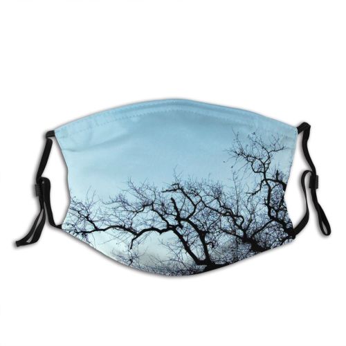 yanfind Winter Winter Natural Woody Backyard Landscape Sky Light Ice Netherlands Branch Holland Dust Washable Reusable Filter and Reusable Mouth Warm Windproof Cotton Face