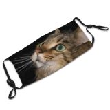 yanfind Pensive Isolated Whisker Fur Cat Kitty Coon Intelligent Space Face Pet Maine Dust Washable Reusable Filter and Reusable Mouth Warm Windproof Cotton Face