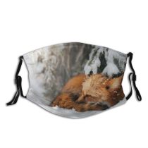 yanfind Poland Wild Fox Snow Wildlife Temperature Outdoors Winter Fur Portrait Dust Washable Reusable Filter and Reusable Mouth Warm Windproof Cotton Face