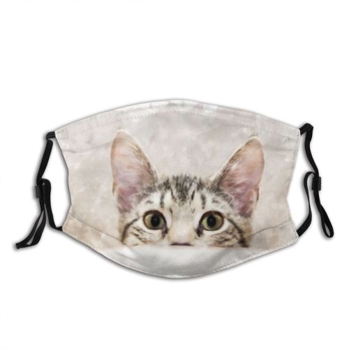 yanfind Canvas Brush Fur Young Cat Cute Macro Baby Sweet Face Pet Dry Dust Washable Reusable Filter and Reusable Mouth Warm Windproof Cotton Face