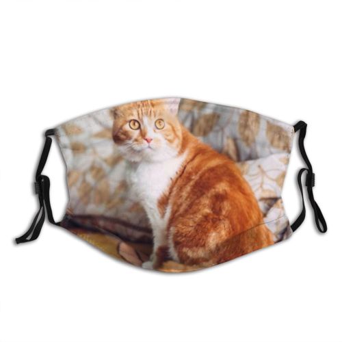 yanfind Comfortable Interested Lovely Fur Bed Striped Cat Cute Peace Warm Big Lazy Dust Washable Reusable Filter and Reusable Mouth Warm Windproof Cotton Face