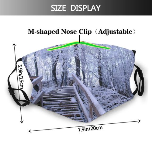 yanfind Winter Winter Natural Growth Stairs Ice Snow Forest Tree Forest Frost Biome Dust Washable Reusable Filter and Reusable Mouth Warm Windproof Cotton Face