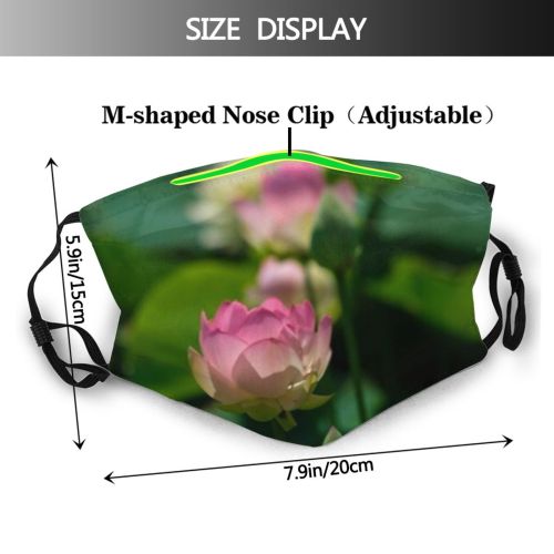 yanfind Blossom Spring Flower Botany Floating Flora Blooming Pond Sacred Bean Peace Tropical Dust Washable Reusable Filter and Reusable Mouth Warm Windproof Cotton Face