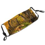 yanfind Outdoors Woods Leaves Branches Morning Dawn Tree Forest Trail Park Northern Hiking Dust Washable Reusable Filter and Reusable Mouth Warm Windproof Cotton Face