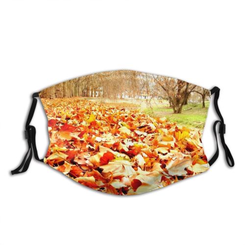 yanfind Deciduous Landscape Leaf Plant Spring Tree Plant Autumn Natural Autumn Woody Dust Washable Reusable Filter and Reusable Mouth Warm Windproof Cotton Face