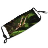 yanfind Strike Insect Plant Mantis Branch Predator Praying Leaf Organism Attack Macro Bug Dust Washable Reusable Filter and Reusable Mouth Warm Windproof Cotton Face