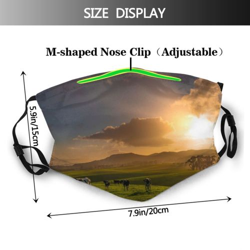 yanfind Dawn Landscape Australasia Dairy Victoria Tranquiy Agri Rural Pursuit Scene  Agricultural Dust Washable Reusable Filter and Reusable Mouth Warm Windproof Cotton Face