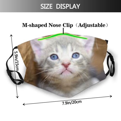 yanfind Fur Young Little Cat Kitty Cute Box Newborn Nose Spout Muzzle Package Dust Washable Reusable Filter and Reusable Mouth Warm Windproof Cotton Face