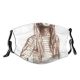 yanfind Attractive Stripes Isolated Elegant Young Fashion Cute Sexy Stylish Old Model Dress Dust Washable Reusable Filter and Reusable Mouth Warm Windproof Cotton Face