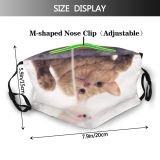 yanfind Isolated Fur Young Cat Game Cute Kitty Coon Nose Old Upside Mouse Dust Washable Reusable Filter and Reusable Mouth Warm Windproof Cotton Face