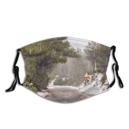 yanfind Ice Frost Landscape Frozen Journey Pursuit Tree Scene Rural Snow Forest Fir Dust Washable Reusable Filter and Reusable Mouth Warm Windproof Cotton Face