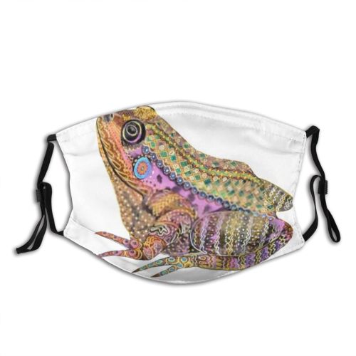 yanfind Abstract Isolated Cute Colorful Skin Wildlife Macro Fauna Frog Doodle Ecology Beautiful Dust Washable Reusable Filter and Reusable Mouth Warm Windproof Cotton Face