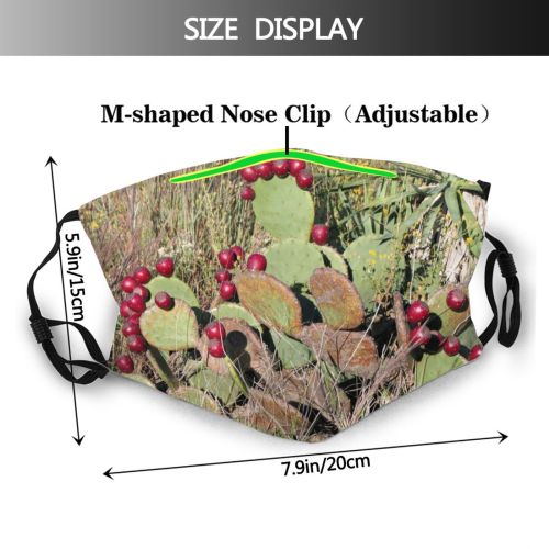 yanfind Plant Fig Flower Adaptation Pear Barbary Cactus Plant Stems Cactus Prickly Nopal Dust Washable Reusable Filter and Reusable Mouth Warm Windproof Cotton Face