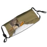 yanfind Europe Passerine Bird Snow Foreground Robin Camera Spread Stone Focus Attacking Perching Dust Washable Reusable Filter and Reusable Mouth Warm Windproof Cotton Face