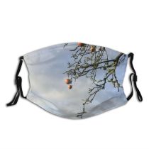 yanfind Persimmons Woody Cloud Sky Plant Fall Branch Fruit Twig Tree Ebony Meadow Dust Washable Reusable Filter and Reusable Mouth Warm Windproof Cotton Face