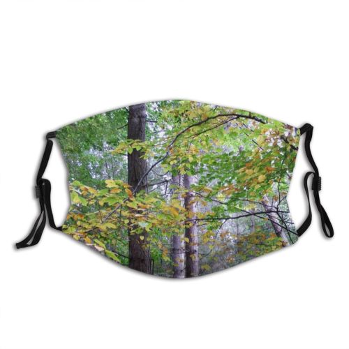 yanfind Temperate Natural Woody Growth Leaves Plant Broadleaf Wood Forest Hardwood Northern Tree Dust Washable Reusable Filter and Reusable Mouth Warm Windproof Cotton Face