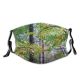 yanfind Temperate Natural Woody Growth Leaves Plant Broadleaf Wood Forest Hardwood Northern Tree Dust Washable Reusable Filter and Reusable Mouth Warm Windproof Cotton Face