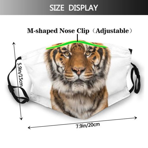 yanfind Isolated Stripes Tigris Danger Striped Cat Carnivore Big Staring Wildlife Facing Nobody Dust Washable Reusable Filter and Reusable Mouth Warm Windproof Cotton Face