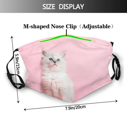 yanfind Fur Young Cat Kitty Cute Newborn Pastel Pedigree Sweet Face Pet Studio Dust Washable Reusable Filter and Reusable Mouth Warm Windproof Cotton Face
