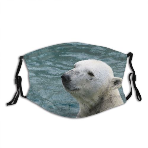 yanfind Polar Carnivore Tundra Vertebrate Arctic Adaptation Cocktail Wildlife Terrestrial Wild Polar Bear Dust Washable Reusable Filter and Reusable Mouth Warm Windproof Cotton Face