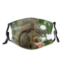yanfind Esquilo Vertebrate Tail Squirrel Fox Organism Squirrel Com Whiskers Wildlife Snout Rodent Dust Washable Reusable Filter and Reusable Mouth Warm Windproof Cotton Face