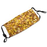 yanfind Leaves Deciduous Gum Maple Leaf Fall Plant Tree Sweet Autumn Plane Autumn Dust Washable Reusable Filter and Reusable Mouth Warm Windproof Cotton Face