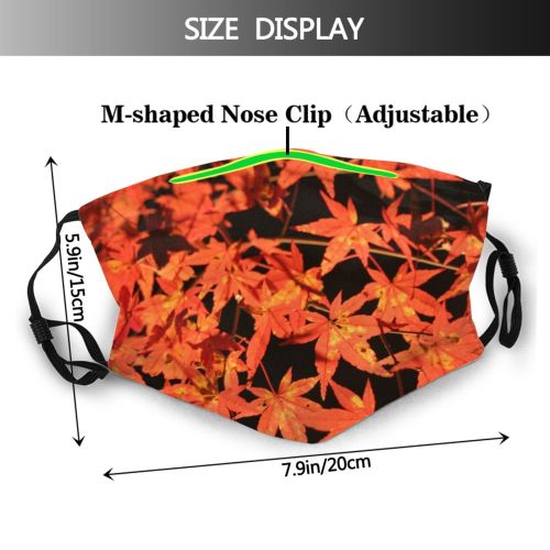 yanfind Flowering Leaves Leaf Maple Deciduous Leaf Kyoto Maple Plant Tree Plant Japan Dust Washable Reusable Filter and Reusable Mouth Warm Windproof Cotton Face
