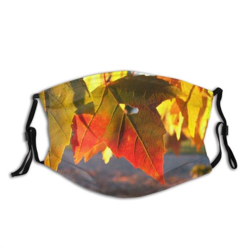 yanfind Maple Dusk Autumn Woody Leaves Maple Plant Fall Leaf Leaf Tree Tree   Dust Washable Reusable Filter and Reusable Mouth Warm Windproof Cotton Face