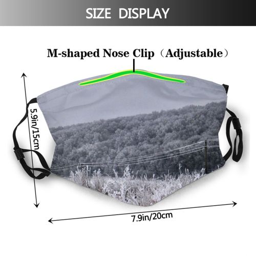 yanfind Winter Frost Sky Tree Winter Snow Bridge Snow Dust Washable Reusable Filter and Reusable Mouth Warm Windproof Cotton Face