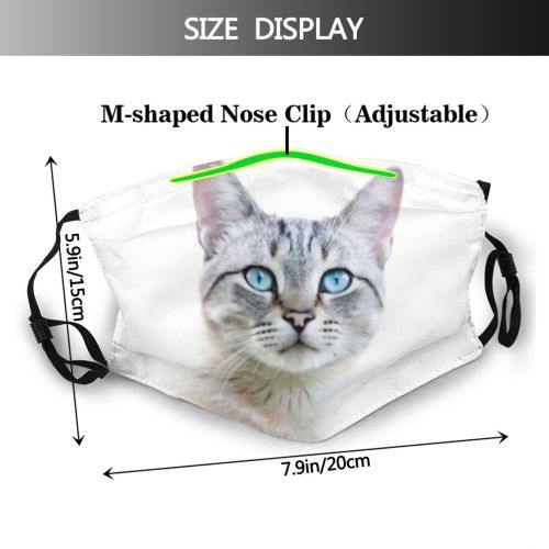 yanfind Isolated Fur Young Striped Cat Kitty Cute Beautiful Sweet Face Pretty Pet Dust Washable Reusable Filter and Reusable Mouth Warm Windproof Cotton Face
