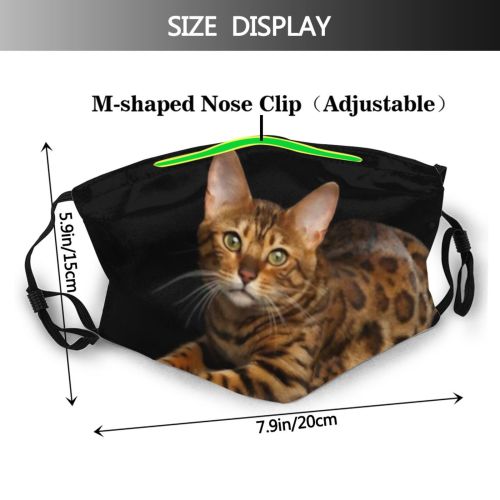 yanfind Isolated Fur Young Little Cat Striped Cute Tender Carnivore Shorthair Active Macro Dust Washable Reusable Filter and Reusable Mouth Warm Windproof Cotton Face