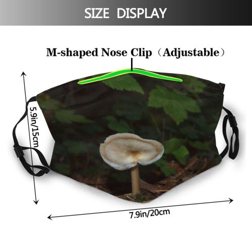 yanfind Plant Denmark Forrest Edible Landscape Agaricaceae Oyster Natural Terrestrial Mushroom Fungus Mushroom Dust Washable Reusable Filter and Reusable Mouth Warm Windproof Cotton Face
