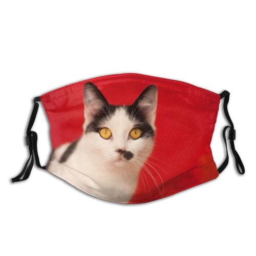 yanfind Lovely Fur Young Cat Cute Carnivore Attention Shorthair Posing Curious Beautiful Pretty Dust Washable Reusable Filter and Reusable Mouth Warm Windproof Cotton Face