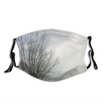 yanfind Fog Cloud Landscape Sky Tree Branch Snow Natural Winter Atmospheric Freezing Holland Dust Washable Reusable Filter and Reusable Mouth Warm Windproof Cotton Face