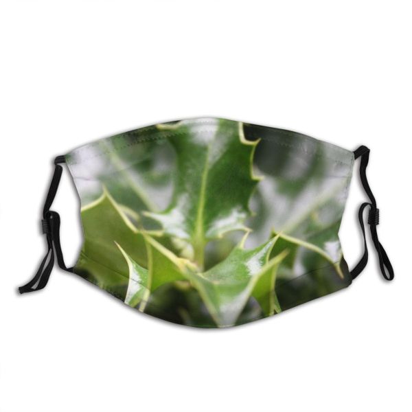 yanfind Winter Greenery Christmas Leaves Holly Plant Bush Plane Flower Holly Leaf Tree Dust Washable Reusable Filter and Reusable Mouth Warm Windproof Cotton Face