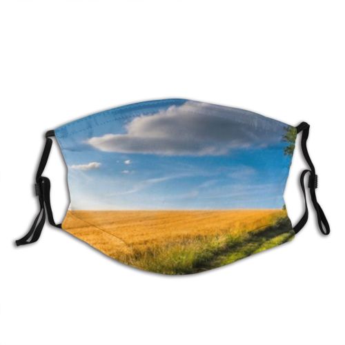 yanfind Bread Sky Lauragais Sunrise Growing Corn Barley Plant Panorama Cereal Harvest Flour Dust Washable Reusable Filter and Reusable Mouth Warm Windproof Cotton Face