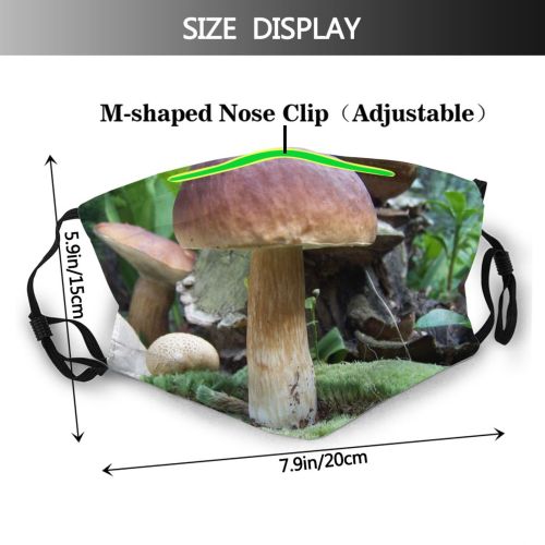 yanfind Plant Edible Penny Agaricaceae Fungus Agaricomycetes Mushroom Mushroom Terrestrial Medicinal Bolete Landscape Dust Washable Reusable Filter and Reusable Mouth Warm Windproof Cotton Face