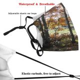 yanfind Temperate Natural Autumn Jura Landscape Broadleaf Herbst Forest Hardwood Leaf Northern Tree Dust Washable Reusable Filter and Reusable Mouth Warm Windproof Cotton Face