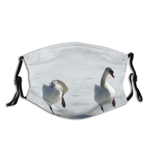 yanfind Winter Frozen Ducks Goose Ice Beak Geese Duck Swans Bird Swan Birds Dust Washable Reusable Filter and Reusable Mouth Warm Windproof Cotton Face