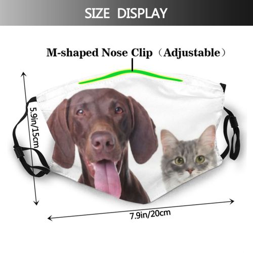 yanfind Friends Isolated Lovely Whisker Together Tubby Striped Cat Kitty Cute Friendly Pointer Dust Washable Reusable Filter and Reusable Mouth Warm Windproof Cotton Face
