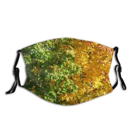 yanfind Temperate Forest Sunlight Vegetation Leaf Trees Plant Tree Broadleaf Plant Branch Autumn Dust Washable Reusable Filter and Reusable Mouth Warm Windproof Cotton Face