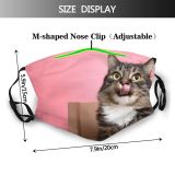 yanfind Fur Young Cat Kitty Cute Box Beautiful Pretty Face Pet Fluffy Eyes Dust Washable Reusable Filter and Reusable Mouth Warm Windproof Cotton Face