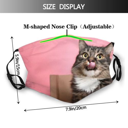 yanfind Fur Young Cat Kitty Cute Box Beautiful Pretty Face Pet Fluffy Eyes Dust Washable Reusable Filter and Reusable Mouth Warm Windproof Cotton Face