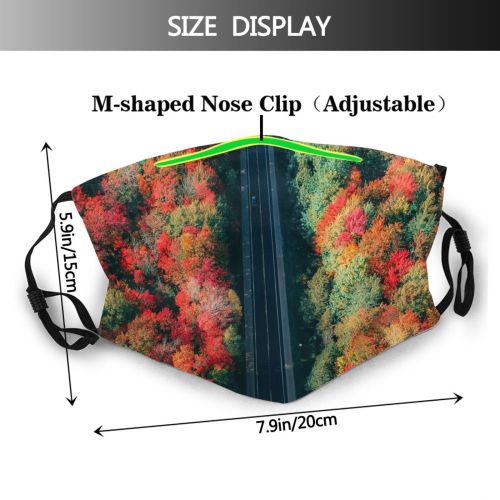 yanfind Idyllic Autumn Perspective Shot Foliage Footage Top Road Tranquil Roadway Drone Scenery Dust Washable Reusable Filter and Reusable Mouth Warm Windproof Cotton Face