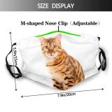 yanfind Isolated Awkward Unusual Cat Focus Over Pedigree Cutout Bengal Space Beautiful Hunched Dust Washable Reusable Filter and Reusable Mouth Warm Windproof Cotton Face