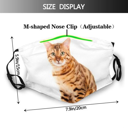 yanfind Isolated Awkward Unusual Cat Focus Over Pedigree Cutout Bengal Space Beautiful Hunched Dust Washable Reusable Filter and Reusable Mouth Warm Windproof Cotton Face