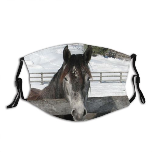 yanfind Nieve Winter Froid Coat Winter Furry Horses Horse Caballos Mane Fur Stallion Dust Washable Reusable Filter and Reusable Mouth Warm Windproof Cotton Face