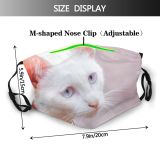 yanfind Isolated Whisker Fur Young Cat Kitty Cute Female Beautiful Eyed Pet Sleep Dust Washable Reusable Filter and Reusable Mouth Warm Windproof Cotton Face