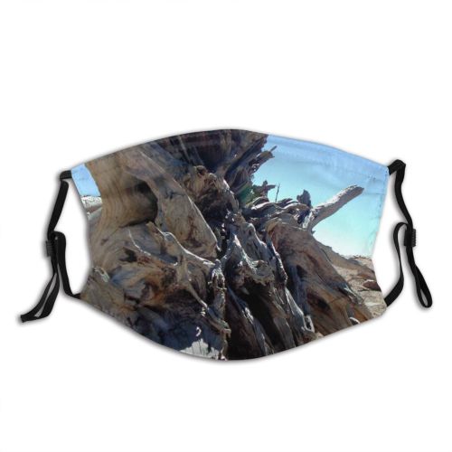 yanfind Dead Old Sky Limb National Wood Strange Woody Utah Canyon Branch Landscape Dust Washable Reusable Filter and Reusable Mouth Warm Windproof Cotton Face